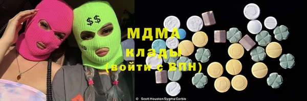 стаф Алзамай