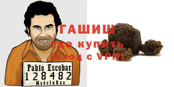 стаф Алзамай