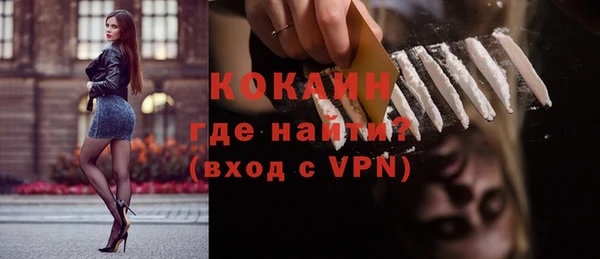 индика Абаза