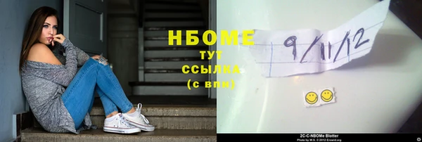 стаф Алзамай