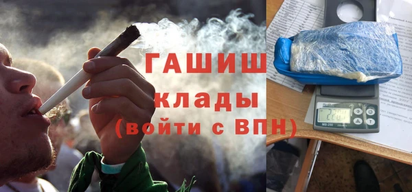 стаф Алзамай