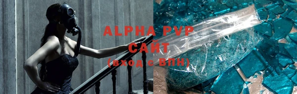 стаф Алзамай