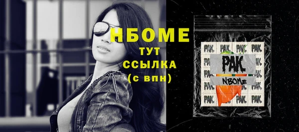 стаф Алзамай